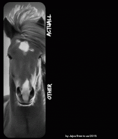 Horses- Gif